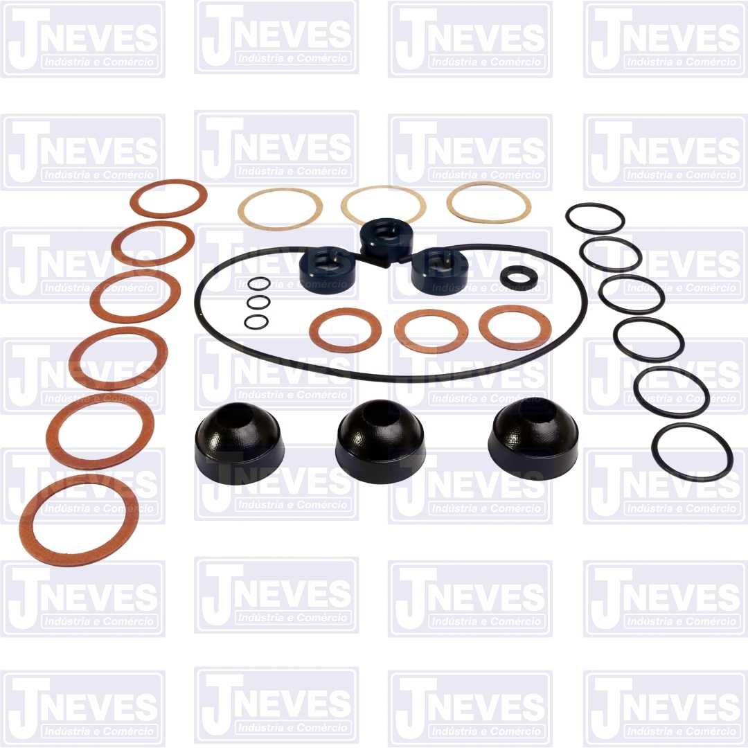 JOGO DE REPARO BOMBA MPP22