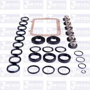 KIT COMPLETO BOMBA LJ3100 C/ VÁLVULAS